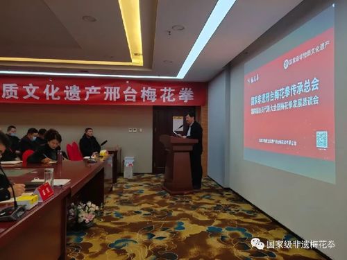 邢臺梅花拳發展懇談會 傳承武術文化，共謀發展新篇